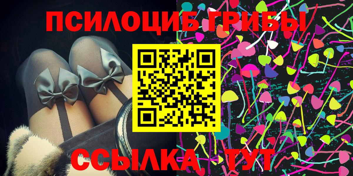 Псилоцибиновые грибы Psilocybe Алатырь