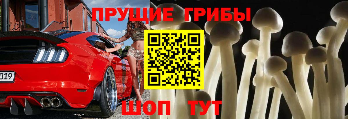 Алатырь  Псилоцибиновые грибы Magic Shrooms  Вход с VPN 